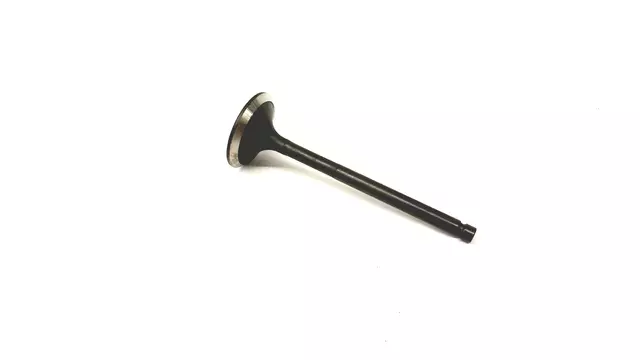 Exhaust Valve