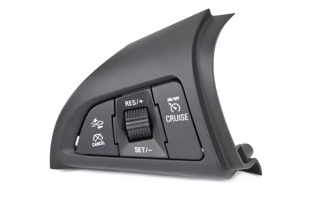 Black Cruise Control Switch