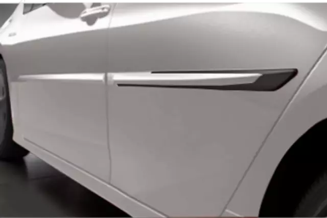 Body Side Molding