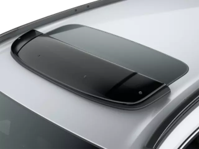 Moonroof Visor