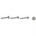 Roof Rail Screw