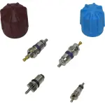A/C System Valve Core and Cap Kit -- Valve and Cap Kit