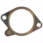 2020-2024 Ford - Catalytic Converter Gasket