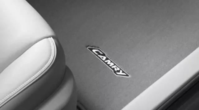 Floor Mats, Carpet, Set Of Four, Flaxen