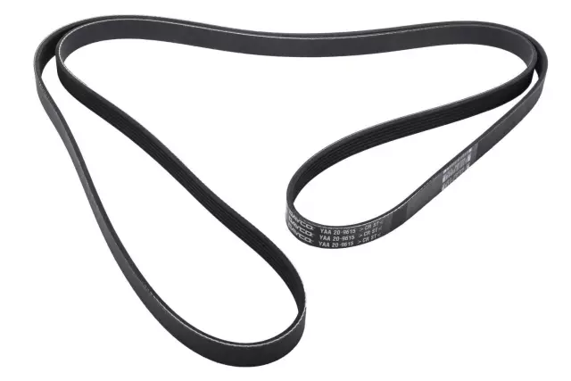 Accessory Drive Belt