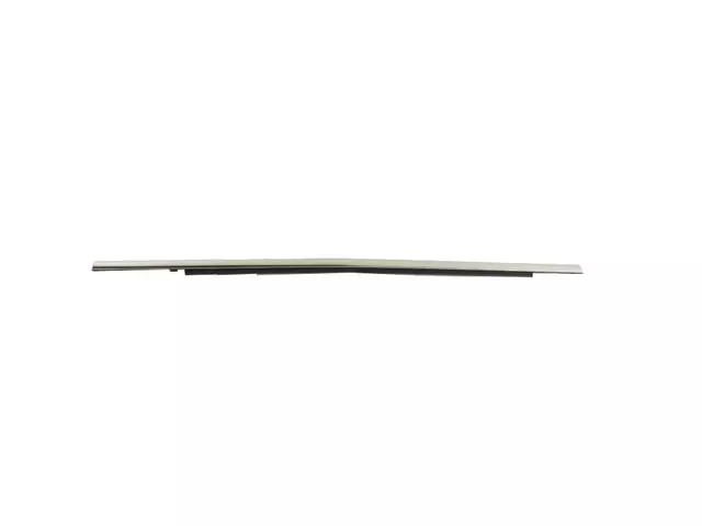 Door Belt Outer Weatherstrip, Right