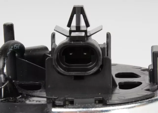 Front Outer Wheel Bearing