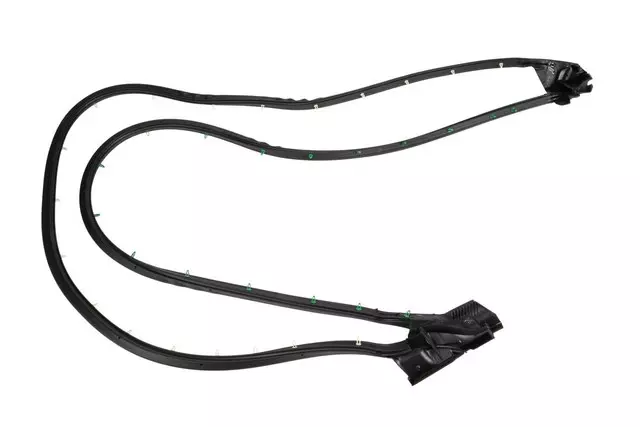 Front Passenger Side Door Weatherstrip