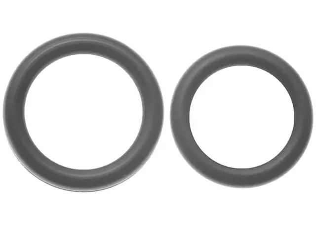 Fuel Injection Fuel Rail O-Ring Kit with 2 O-Rings