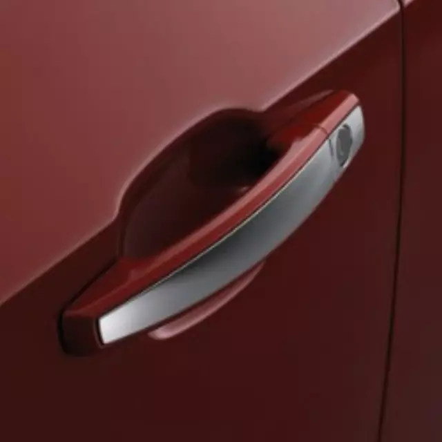 Door Handles, W\\/Chrome