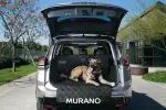 Pet Cargo Area Protector