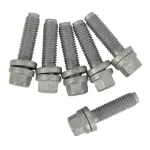 Crankshaft Pulley Bolt