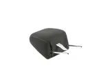 Front Headrest
