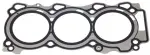 Head Gasket