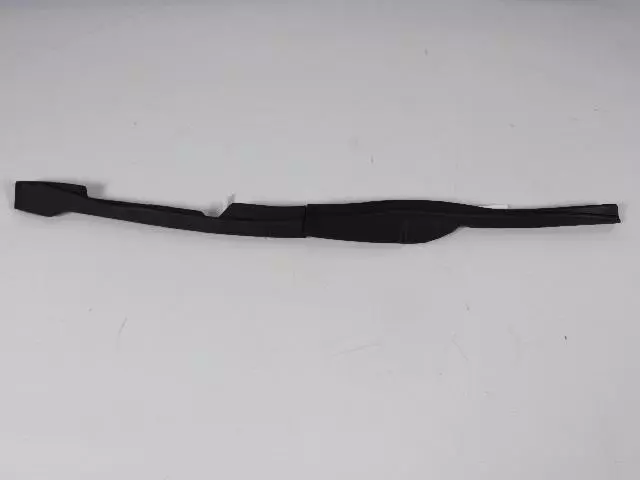 Rear Door Seal, Left