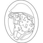 2017-2020 Ford - Steering Wheel