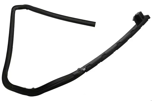 Rear Driver Side Door Window Weatherstrip