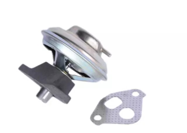 Exhaust Gas Recirculation (EGR) Valve Kit with Gasket