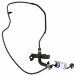 2013-2018 Ford C-Max - Reservoir Hose