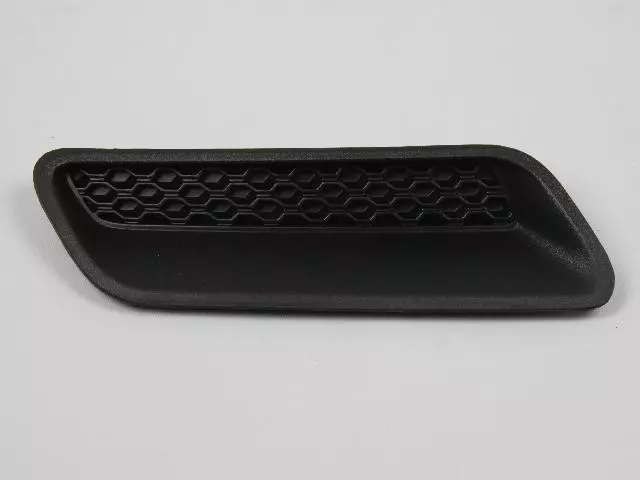 HOOD - BEZEL | Mopar 68324990AA