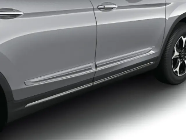 2016-2025 Honda - Body Side Molding