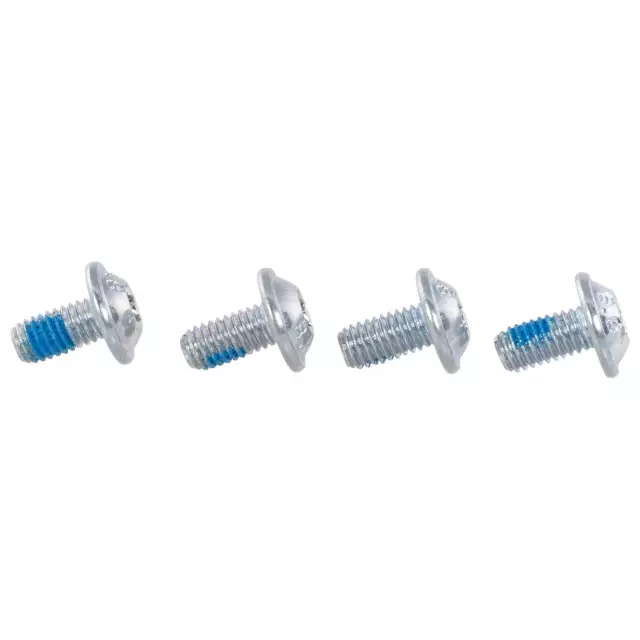 Window Regulator Bolt