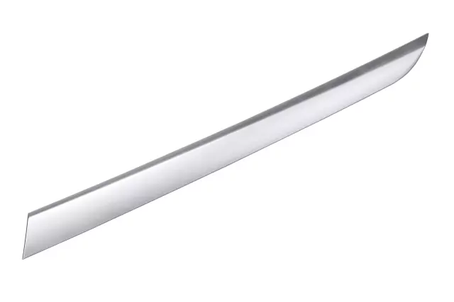 Light Metal Silver Driver Side Door Lower Trim