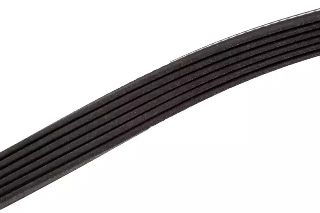 Serpentine Belt