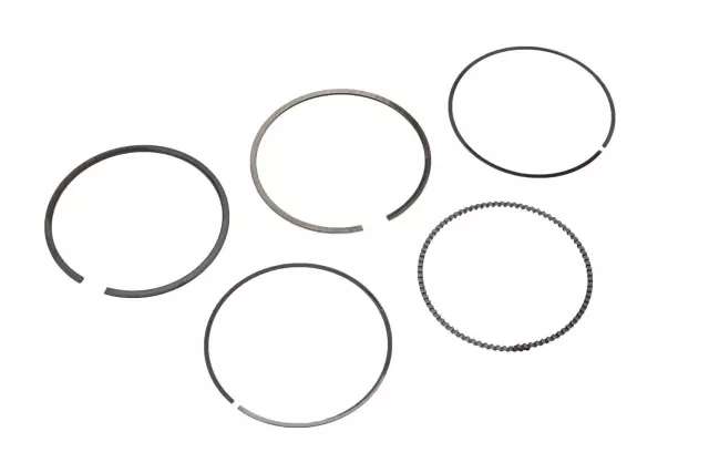 Piston Rings