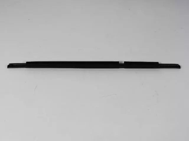 Door Belt Outer Weatherstrip, Right