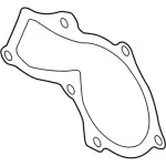 Water Pump Assembly Gasket