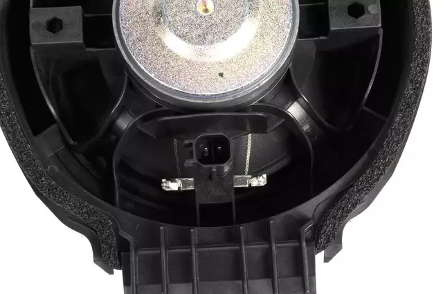 Rear Side Door Speaker