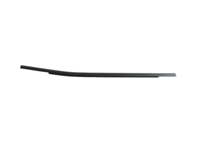 2017-2025 Jeep Compass Door Belt Outer Weatherstrip, Right