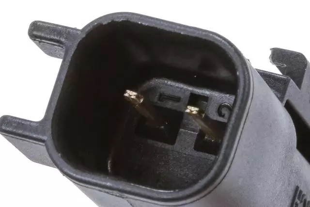 Rear Wheel Speed Sensor