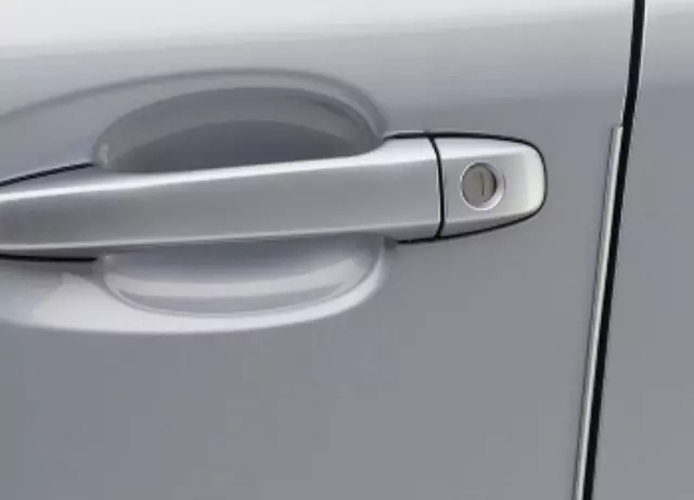 Door Edge Guard Kit - Sepia Bronze