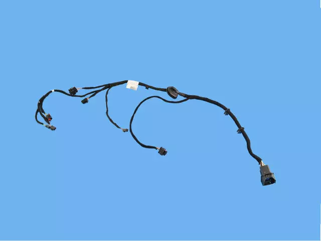 Rear Door Wiring, Rear, Left