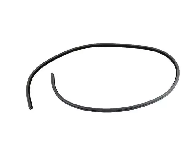 Rear Door Body Mounted Weatherstrip