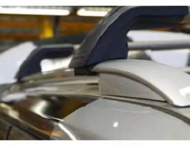 Roof Rail Ditch Finishers - Lwb - Silver