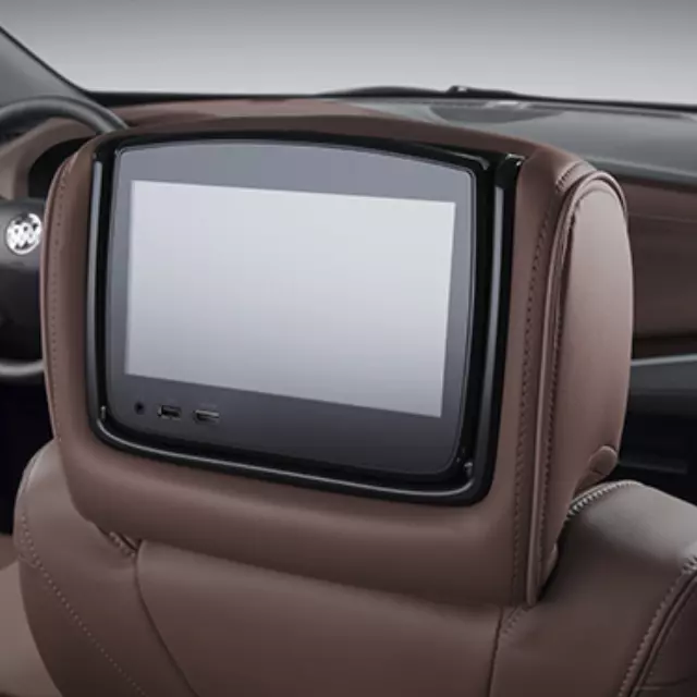 Headrest and Video Screen Assembly