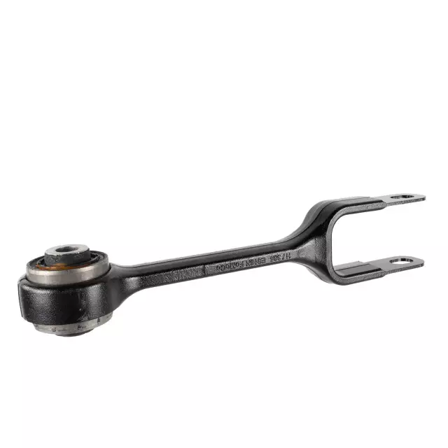 アドレス v125BMF Purified Rat Anti-Mouse Siglec-F