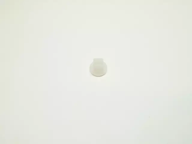 License Bracket Screw