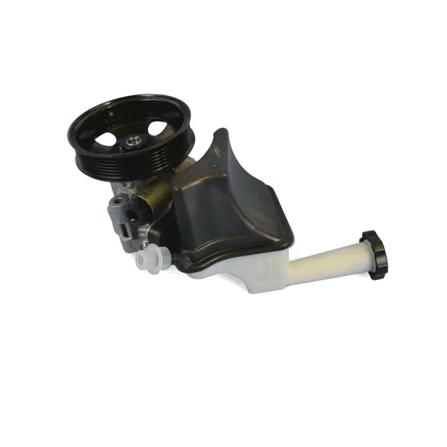 Self Service 　 No.30 2009SS ラクエル・ジマーマン 2012-2013 Mopar Power Steering Pump RL181778AB | All Mopar Parts