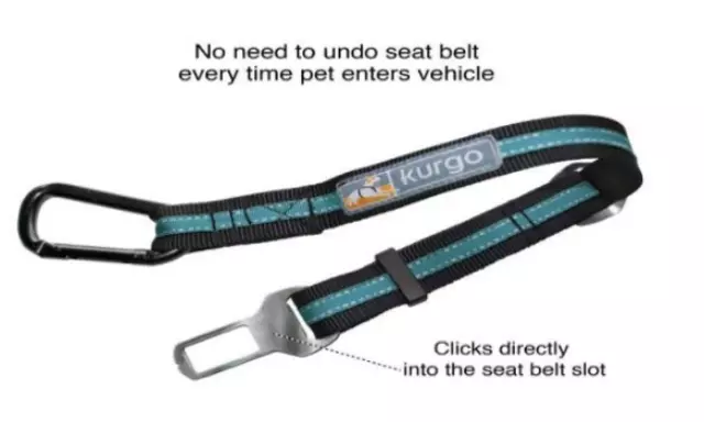 Direct To Seat Belt Tether