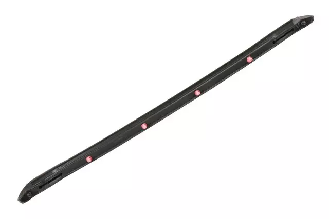 Rear Side Door Weatherstrip