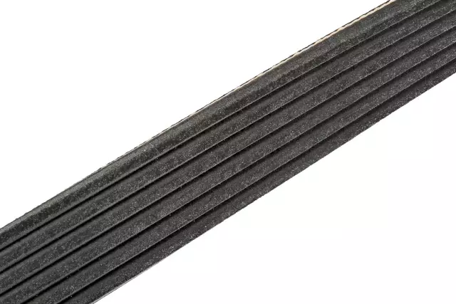 Serpentine Belt