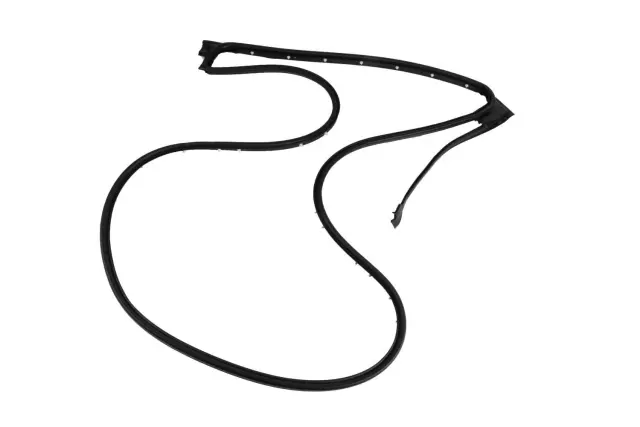 Driver Side Rear Door Weatherstrip