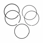 2010-2020 Ford - Piston Rings