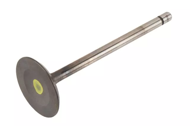 Intake Valve