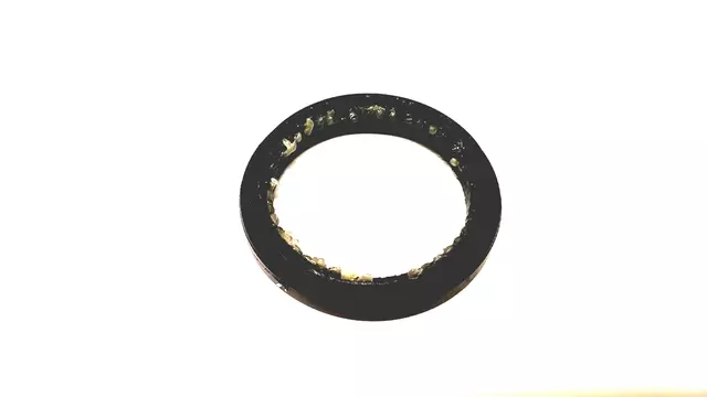 Bearing Seal