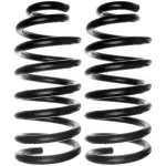 MOOG 81001 Coil Spring Set for Ford Expedition